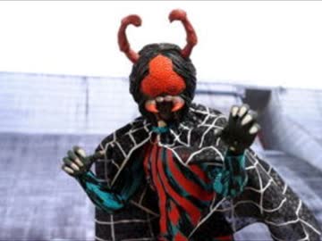 ホモと学ぶ蜘蛛の生態.mp4