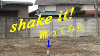 【踊ってみた】　shake it！　　緊張ル