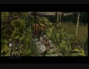 【ダークソウル２】無職が一人でダクソ２実況part６【初見実況】