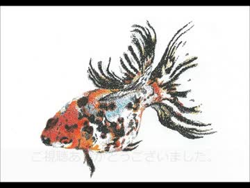 新着 リアル かっこいい 金魚 イラスト