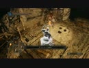 【ダークソウル2】怖がりな友人の初見プレイについていく実況【part8】