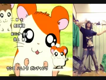 【暴徒】とっとこハム太郎 ED1 踊ってみた【200%のジュモン】