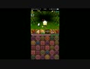 【パズドラ】赤おでん1体でソニアのスキラゲしよう！