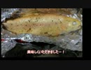 ゆっくり魚釣り研究記録　ファイル4