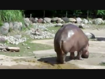 自分用