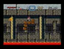 【不殺縛り】不殺で菩薩なマリオワールド　8ガンジー【強化縛り】