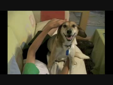 差別するペロリスト