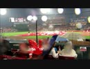 東京ヤクルトスワローズ(一部カープ)　雨天中断中での応援歌20140814マツダ