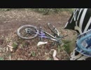【練習不足が行く】瑞穂ハイランドMTBパークダウンヒル【2014.8.13 4本目】