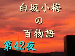 白坂小梅の百物語 ～第42夜 タカイタカイ～