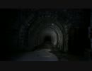 【心霊】ぶらり一人旅　第64回　愛知県　旧伊勢神トンネルロングver