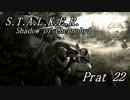 【S.T.A.L.K.E.R.】 ゆっくりがZONEを探索　Part22
