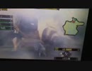 MH4 ジンオウガ亜種＆ラージャン100効率狩り