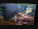 MH4 ティガレックス原種＆ラージャン100効率狩り