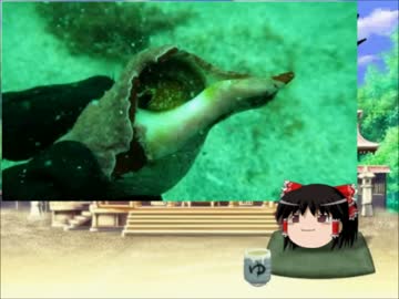 ゆっくりの独り言第１７回