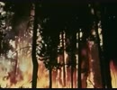 A Tribe Called Red - Electric Pow Wow Drum (VIDEO REMIX)
