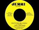 Tony Troutman - What's The Use
