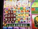 【メダルゲーム】アニマロッタ2にて100betで奇跡を起こす！【途中から】