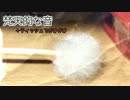 梵天耳かき