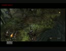 ダークソウル2脳筋初見実況　22