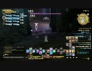 [新生FF14]新生オトナのHR[声ありプレイ動画]～カルンその後3～