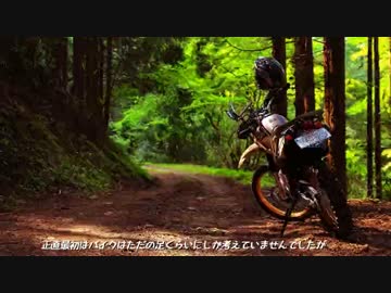 セロー買ったった！part2