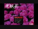 死妖花をしようか。Part1（前半）