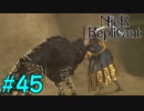 【実況】兄妹愛溢れるゲームをプレイ【ニーアレプリカント】part45
