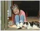 いなば キャットフードCM 親心バージョン