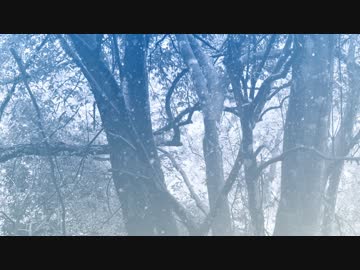 自作エフェクト（雪）紹介動画
