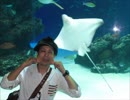 ナオキ兄さんバースデー動画