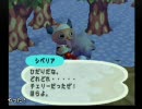 たかしがやるどうぶつの森+　２月２４日
