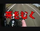 エストちゃんとよいちツーリング