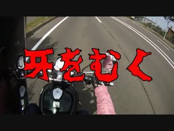 エストちゃんとよいちツーリング