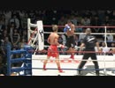 2014/6/12　【Krush.42】　【王者】山崎 秀晃　VS　【挑戦者】モハメド・ブールフ