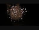 2014.8.16 （山形）赤川花火　「～桜舞い散る～」