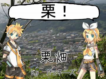 【ガミネーズ】栗畑