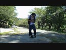 【下手だけど頑張って】shake it!を踊ってみた【mas】