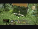 ファイナルファンタジーXIV_ 新生エオルゼア
