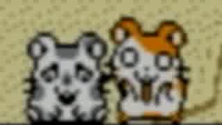 【実況】ツッコミどころしかないハム太郎　part2