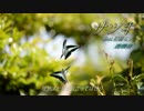 サツキ(feat.初音ミク)【歌詞あり】 - 透機音