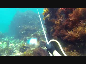 ゴズの式根島ソロキャンプ生活　その2