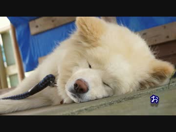 バイク７台！竜飛岬ツーリング！