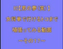 三国志大戦３　男の夢（笑）で頑張ってみる動画その１７