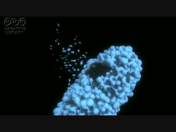 【NNI】Flower【さとうささら】