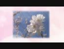 【春の歌】　桜舞い散る季節の中で　（PV short ver. ） オリジナル