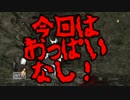 【ダークソウル2】竜頭聖騎士の白霊譚　その7【ゆっくり実況】