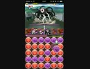 [パズドラ]エヴァコラボ　地獄級　周回編成