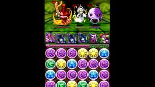 パズドラ　ガンホーコラボ　Ｓランク　ベルゼ×ソニア　無課金編成