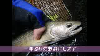 イワナが釣りたくなって・・・　テンカラでとある沢のリベンジ編